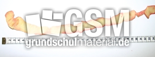 Apfelschalen-messen-2.jpg